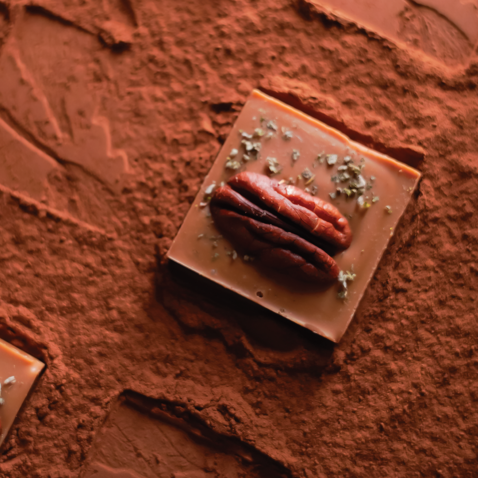 Caramel Chocolate with Thyme and Pecan