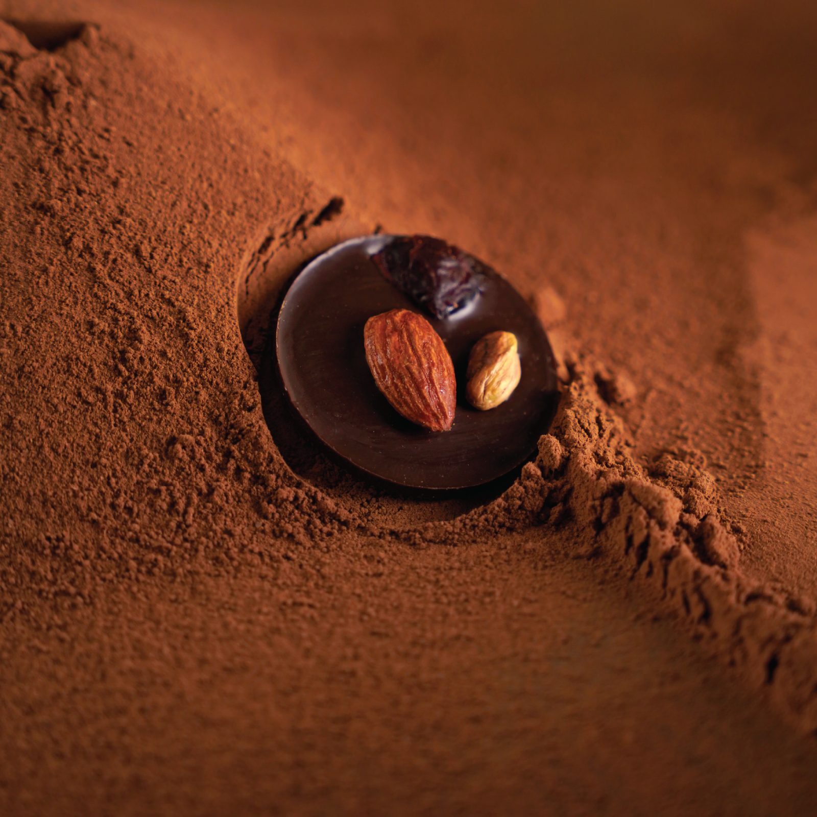 Dark Chocolate & Raspberry with Nuts