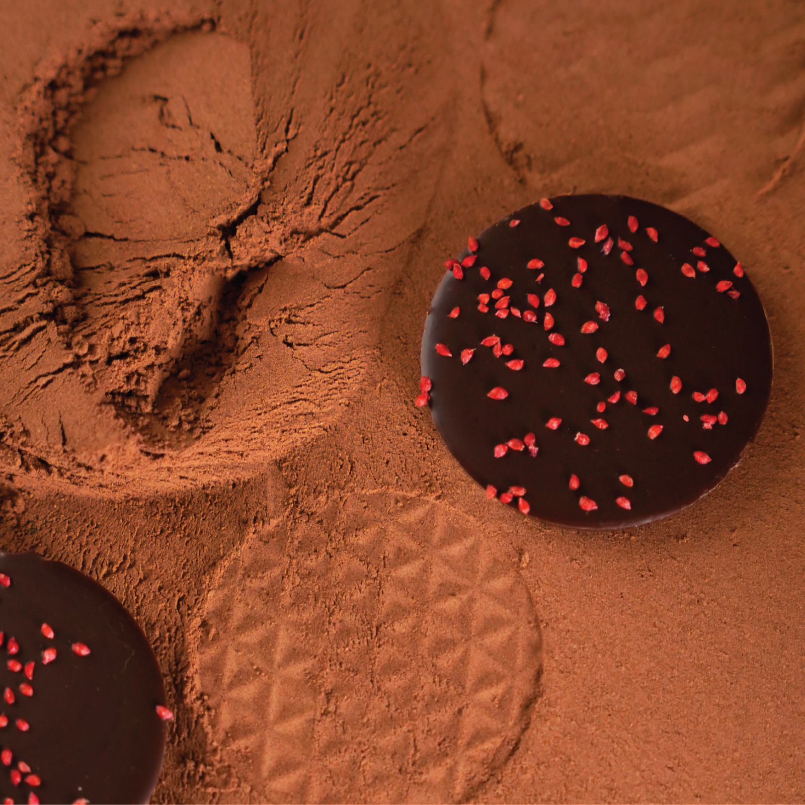 Dark Chocolate with Raspberry