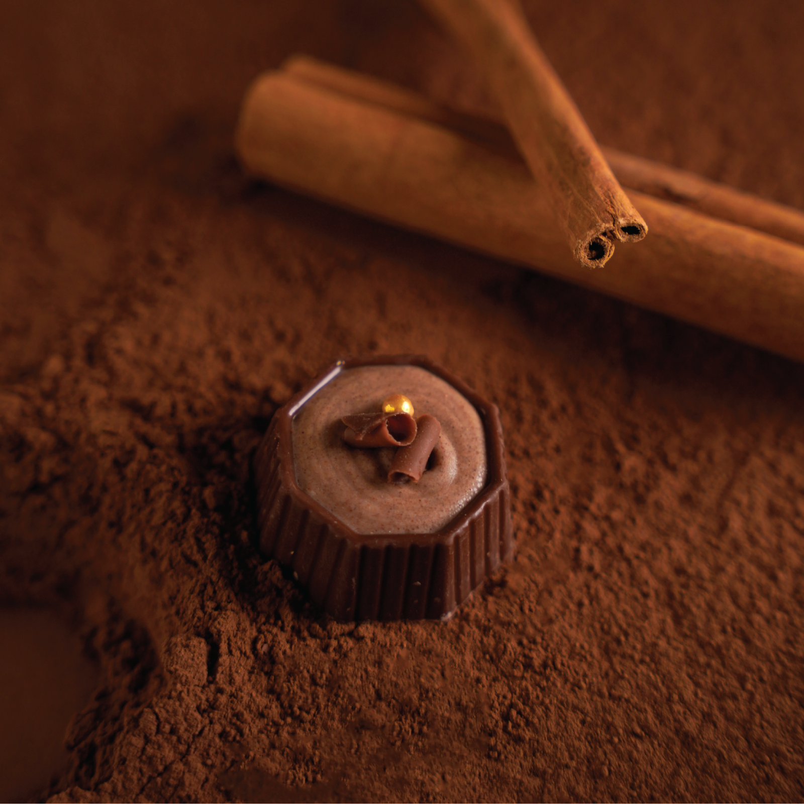 Milk Chocolate with Cinnamon