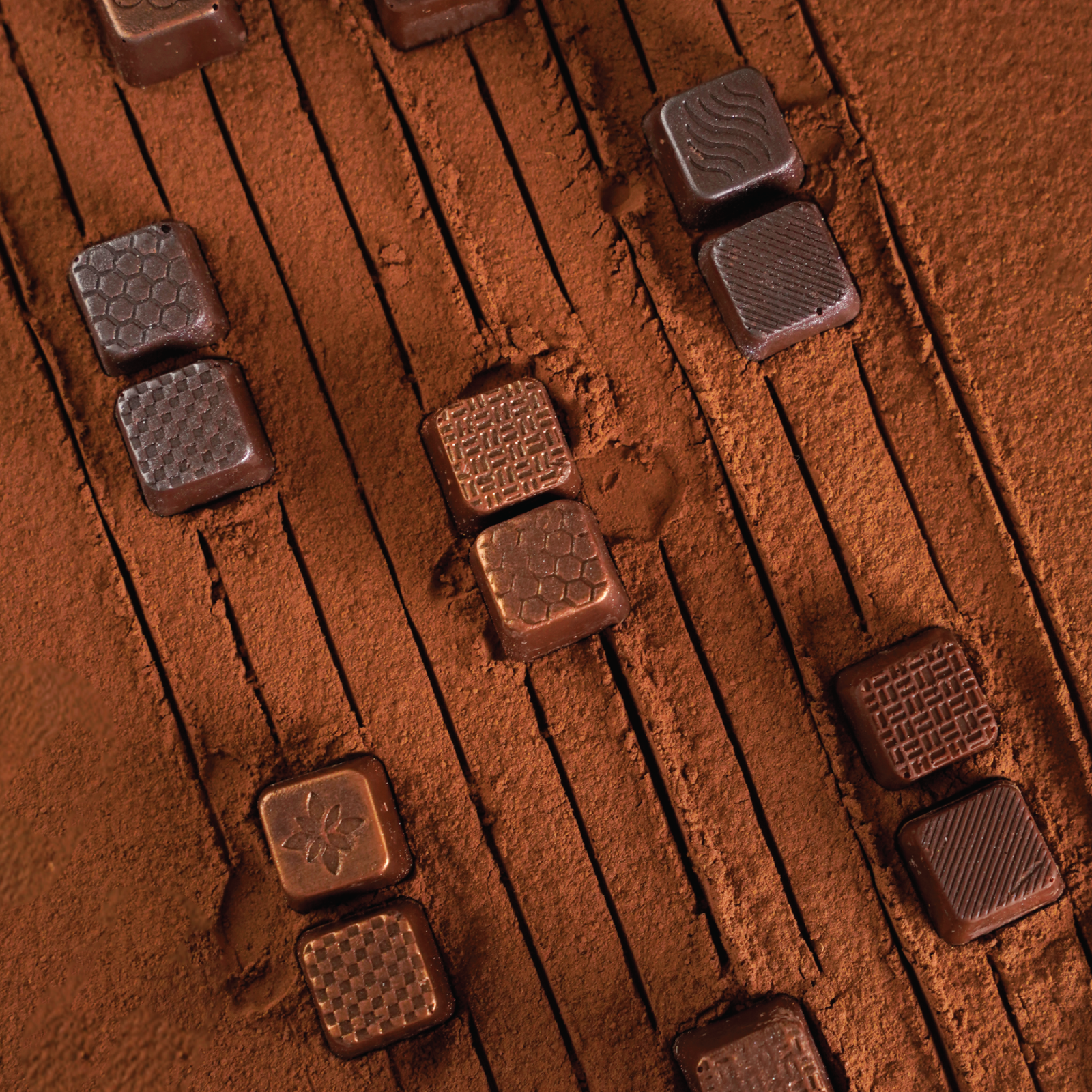 Plain Milk Chocolate with Gianduja