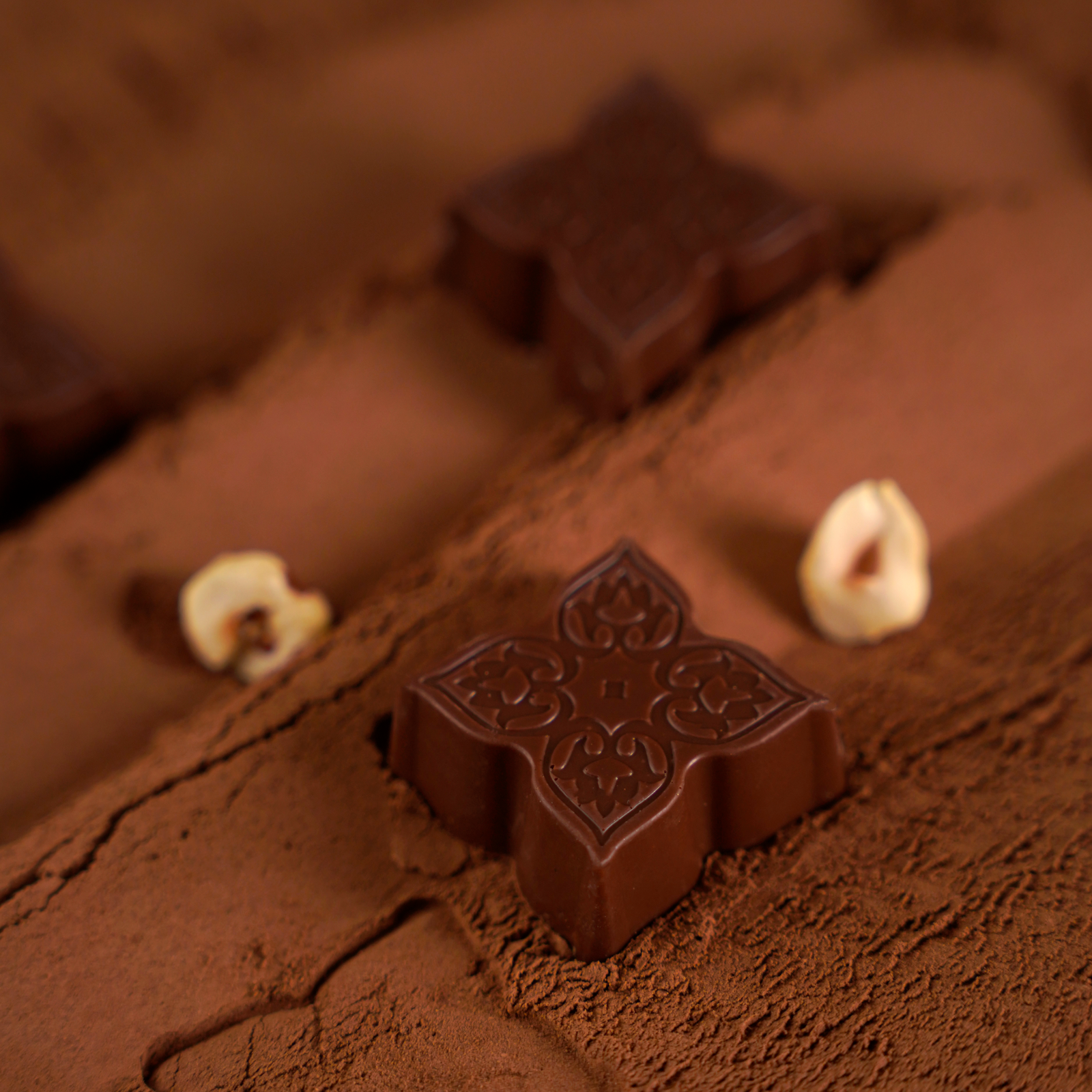 Milk Chocolate with Hazelnut