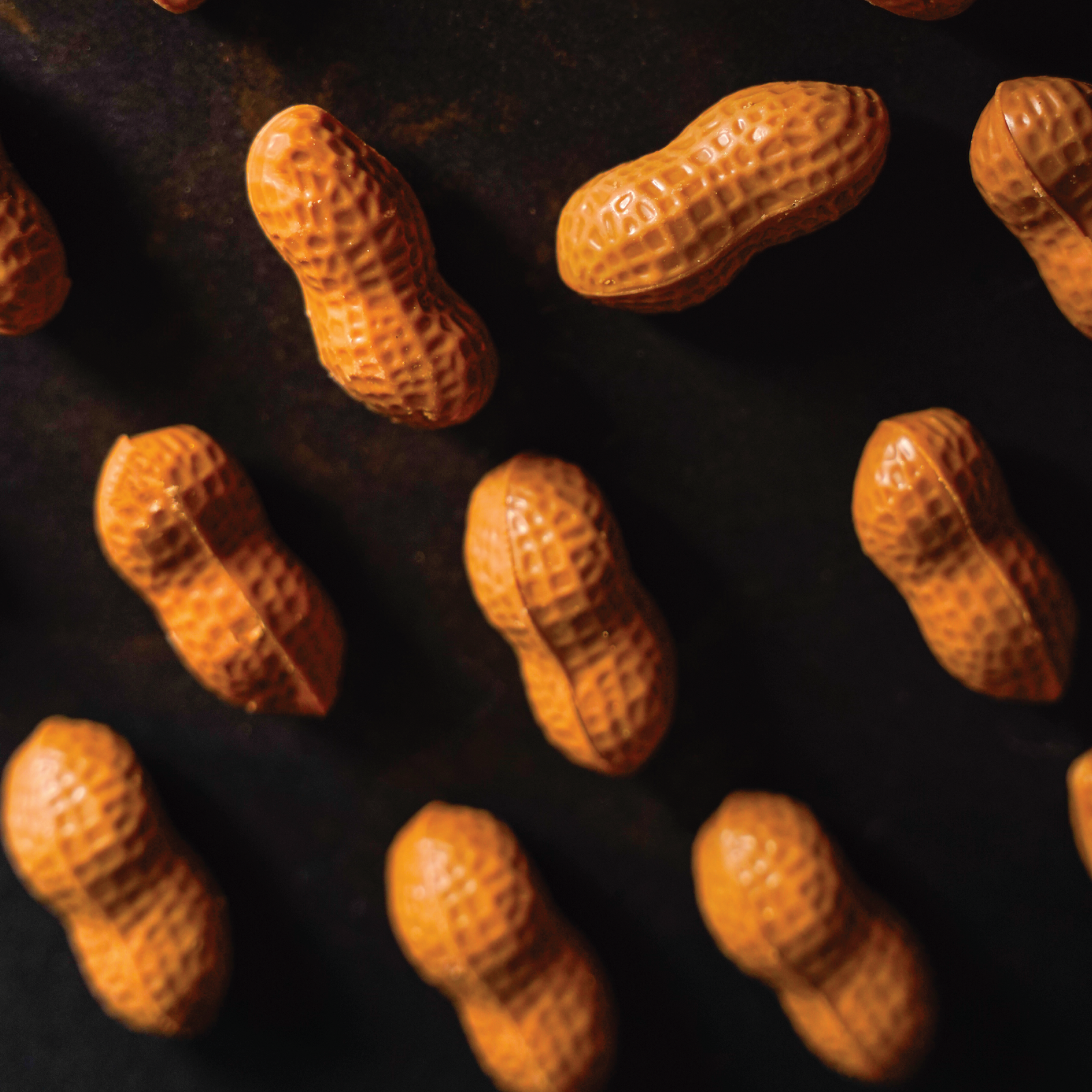 Peanut Stuffed Chocolate