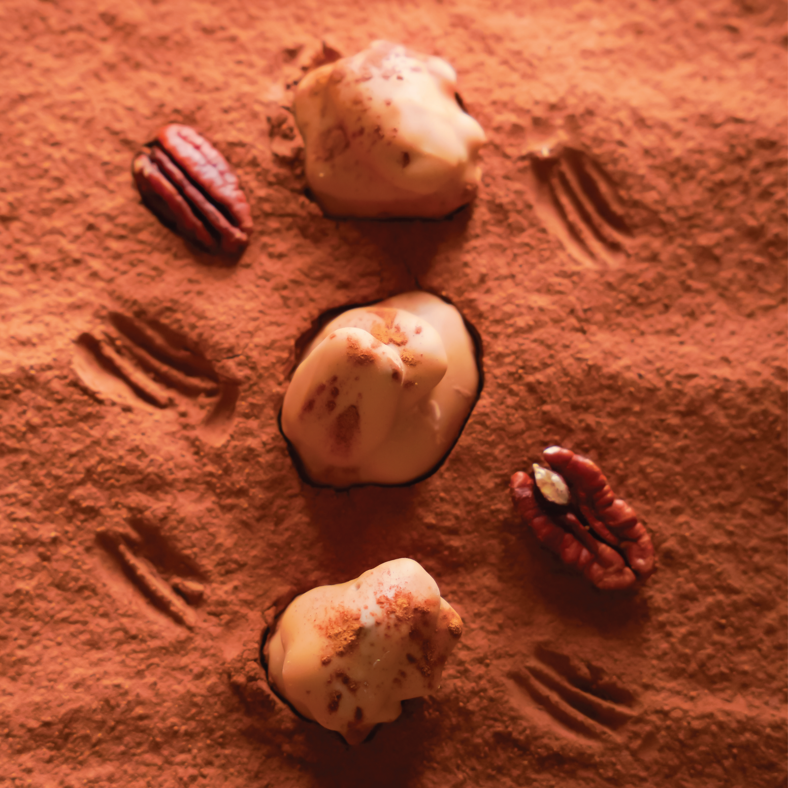 Pecan Roche Chocolate