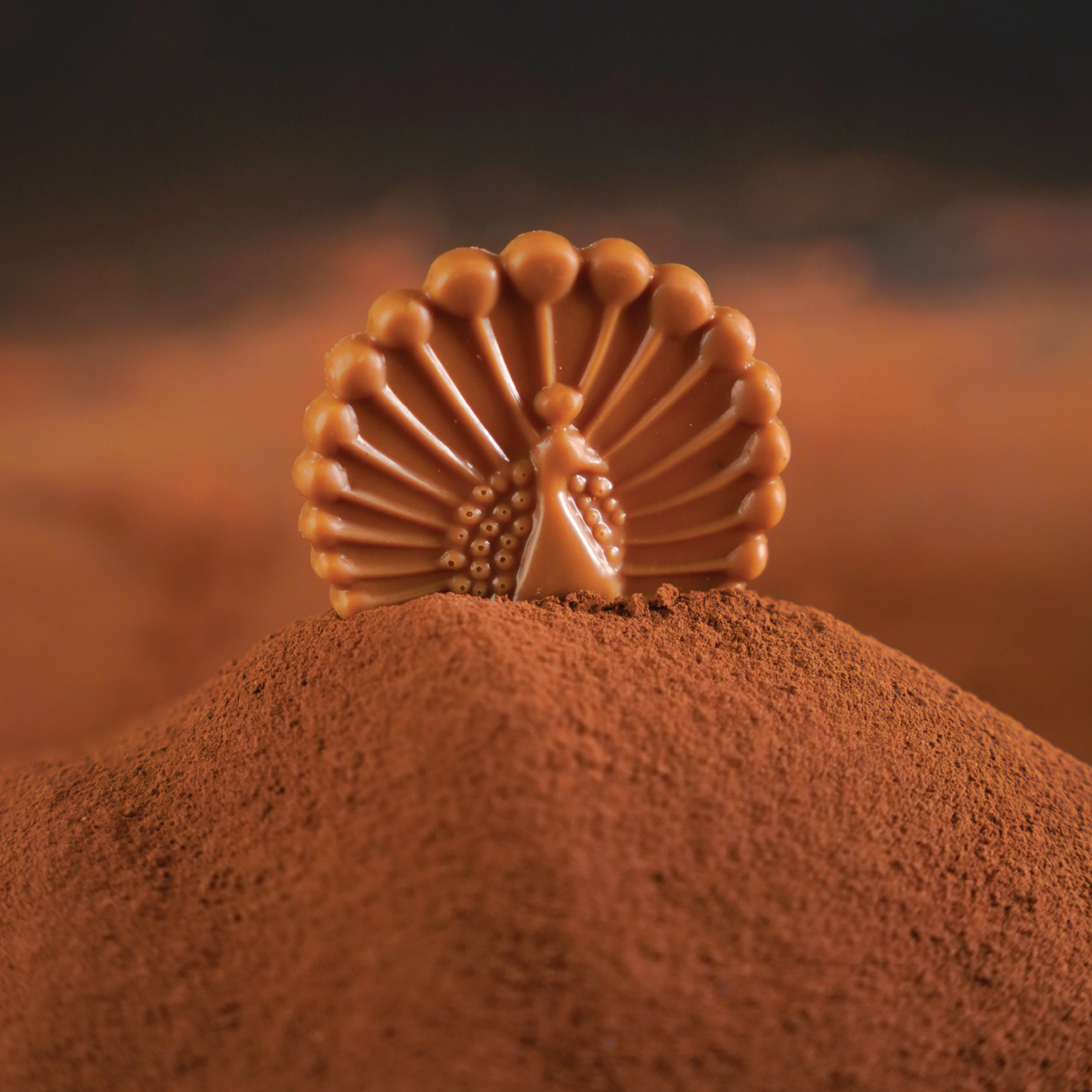 Plain Gold Chocolate