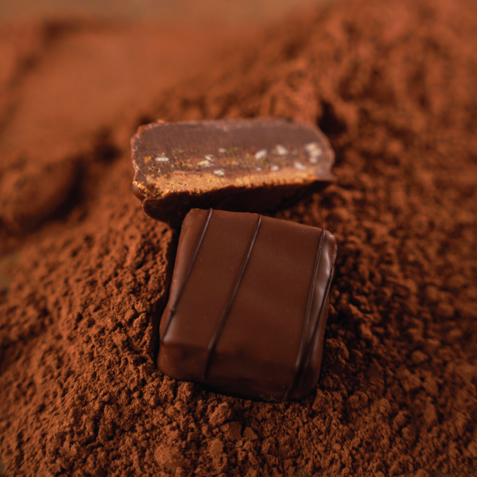 Trifle Thyme Chocolate